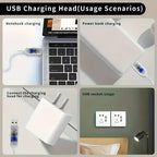 Magic Willow Vine Lamp